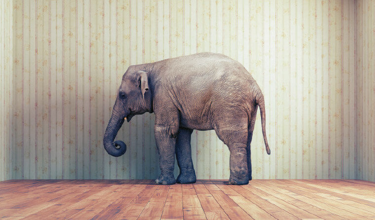 Addressing the real elephant in the boardroom